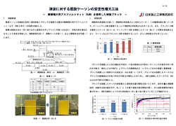 津波に対する既設ケーソンの安定性増大工法.pdf