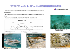 アスファルトマットの海藻植生状況.pdf